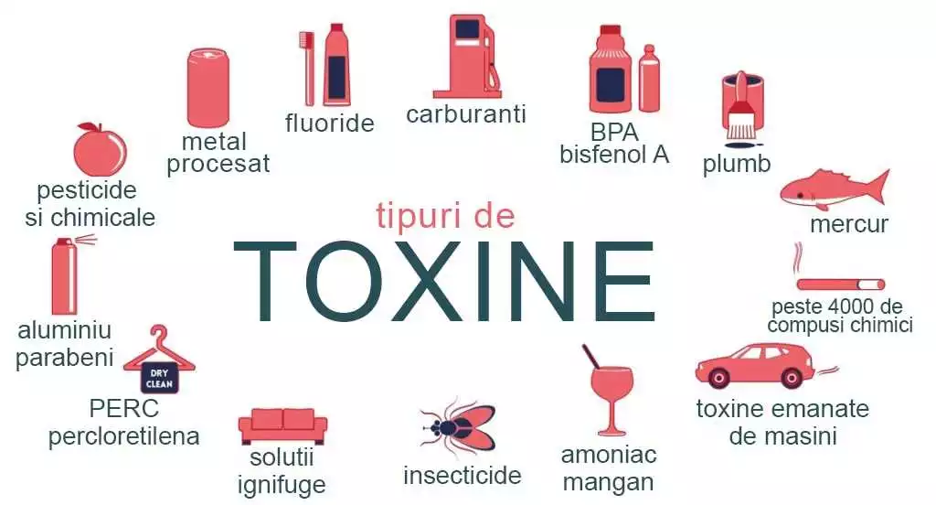 Detoxin: Curățarea Eficientă A Organismului De Toxine Și Substanțe Nocive