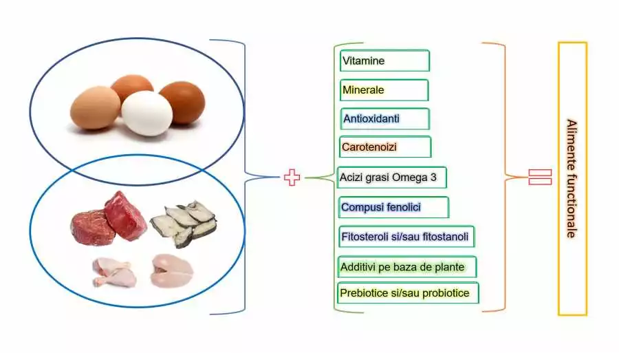 Vitaminele Și Mineralele Optimizează Funcționarea Retinei Și Corneei