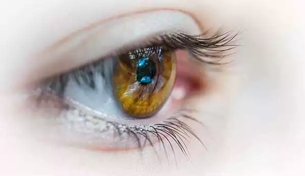 Ocuvit în Satu Mare: beneficii și recomandări pentru sănătatea ochilor